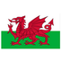 威尔士女足U19